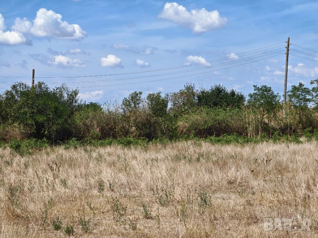 Продава се дворно място 2000м² , снимка 6 - Парцели - 51712104