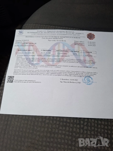 Синьо Жълта женска Ара, снимка 5 - Папагали - 52946206