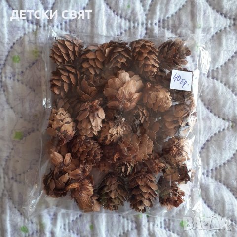 Декоративни мини шишарки в Декорация за дома в гр. Габрово - ID38194525 ...