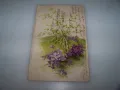 Красива австрийска пощенска картичка цветя,  1903г., снимка 1