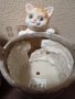 Саксия с котка,кашпа за цветя., снимка 10