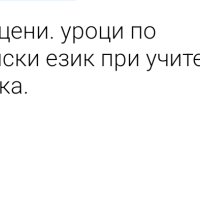 уроци по английски с учител от Сащ, снимка 2 - Уроци по чужди езици - 43910145