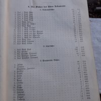 МНОГО СТАРА НЕМСКА БИБЛИЯ 1887 ГОДИНА, снимка 6 - Антикварни и старинни предмети - 39129891