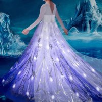 Светеща рокля на Елза Замръзналото кралство, снимка 1 - Детски рокли и поли - 43292969