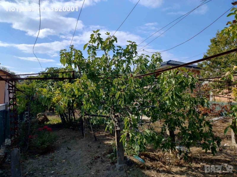 БЕЗ КОМИСИОНА - ПРОДАВА СЕ ПАРЦЕЛ С ТОК, ВОДА И КАНАЛИЗАЦИЯ В М-СТ ИЗГРЕВ, снимка 1