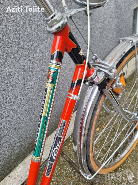 Rixe champion de france, снимка 1