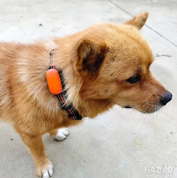 GPS тракер за животни: кучета, котки,  IP67,  4G, допълнително: предплатена СИМ карта, снимка 1