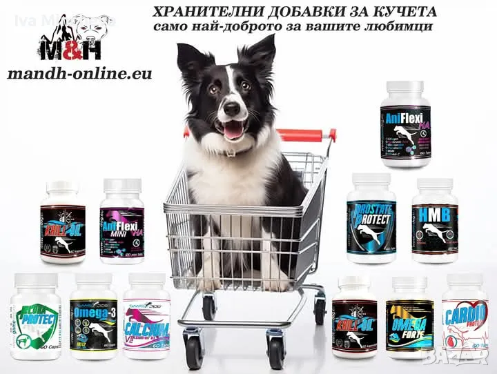 Хранителни добавки за кучета, снимка 1