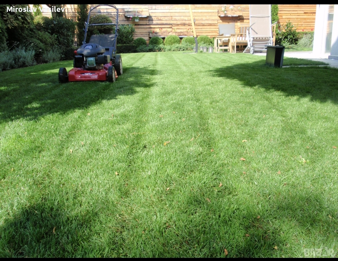 Поддръжка на зелени площи | Почистване на листа | Почистване на сняг, снимка 1