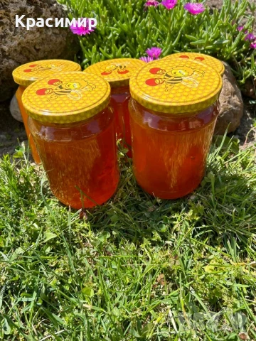 Предлагам натурален пчелен мед , снимка 3 - Пчелни продукти - 50456583