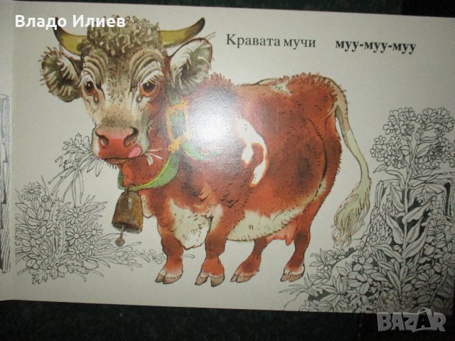 Детски книги нови различни видове, снимка 16 - Детски книжки - 33266899