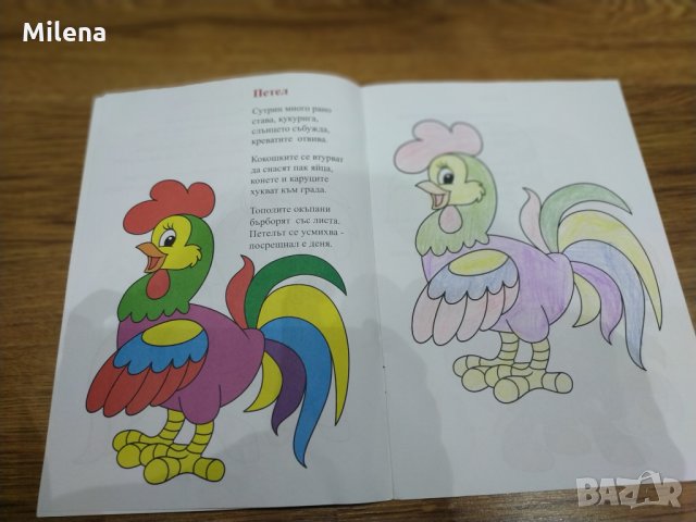 Конче и вятър - стихчета за животните на двора, снимка 3 - Детски книжки - 28391502