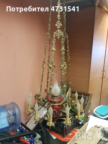 Полилей, снимка 10 - Полилеи - 53398820