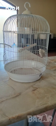 клетка за папагали, снимка 5 - Папагали - 53164052