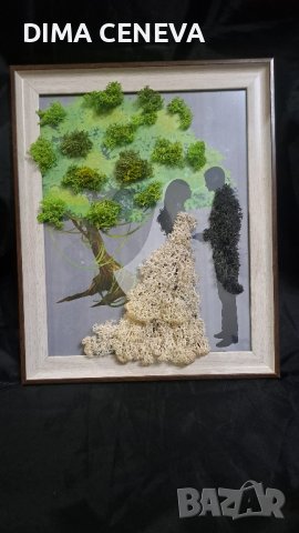 3D картини , скандинавски мъх,  живи картини, снимка 8 - Декорация за дома - 43901038