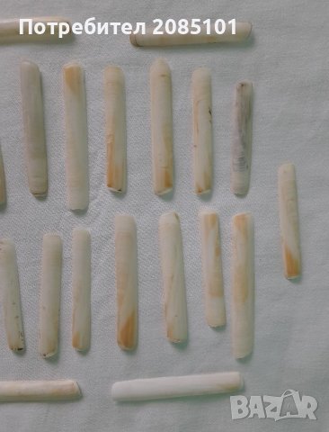 Морски миди, снимка 3 - Декорация за дома - 43957605