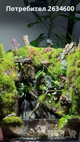 аквариуми и терариуми , снимка 7 - Терариуми и оборудване - 49408460