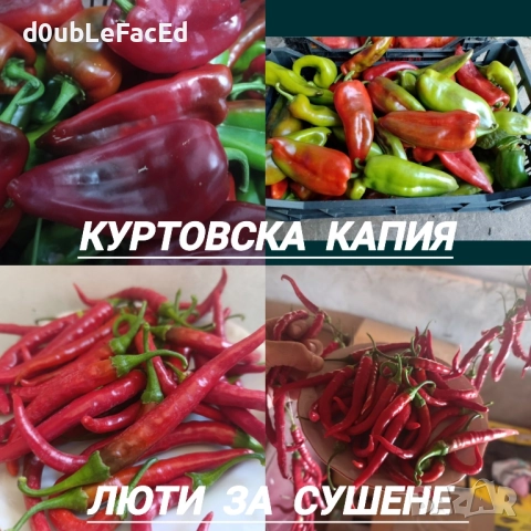 Стари сортове семена от ,,Вълшебната Градина", снимка 4 - Разсади - 48736400