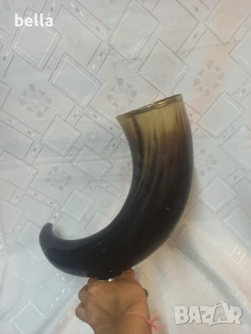 Огромен фирмен рог от Кейптаун - Eichholtz монтиран върху никелирана основа -височина 28 см дължина , снимка 5 - Антикварни и старинни предмети - 50575804