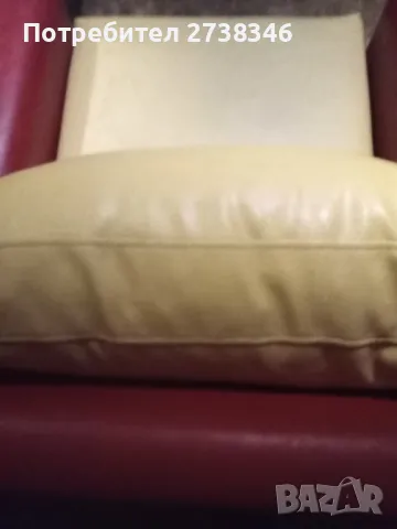 Старинен кожен фотьойл легло , снимка 5 - Антикварни и старинни предмети - 49161833