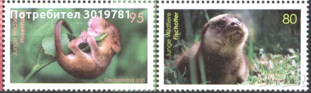 Чисти марки Фауна Видра Лешников Сънливец 2020 от Германия