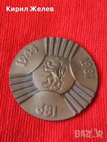 13 ВЕКА БЪЛГАРИЯ МАСИВЕН РЯДЪК БРОНЗОВ ПЛАКЕТ 1981г.  7516, снимка 9 - Колекции - 30889612