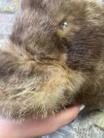 Нова Шапка с козирка , снимка 10 - Шапки - 39721163