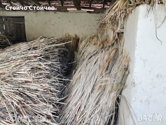Продавам метлен клас - стара и нова реколта , снимка 9 - Индустриална техника - 52130527