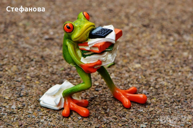 Счетоводни услуги за физически лица и фирми