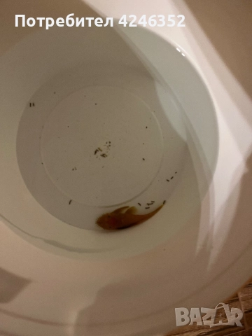 Подарявам една рибка, снимка 3 - Рибки - 52871144