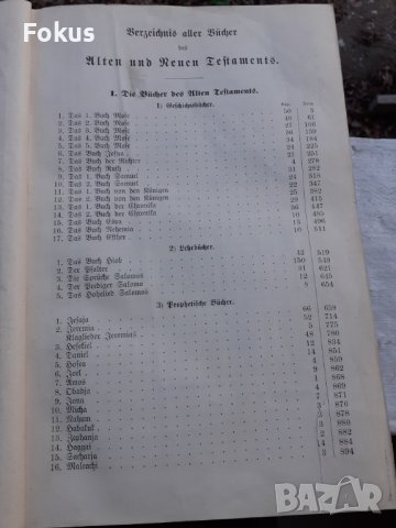 МНОГО СТАРА НЕМСКА БИБЛИЯ 1887 ГОДИНА, снимка 6 - Антикварни и старинни предмети - 39129891