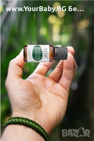 Oilo БИО Етерично Масло от Кедрово дърво (Cedarwood) - Atlas cedar Oilo 5 мл., снимка 5 - Други - 49721332
