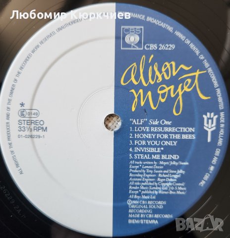 Alison Moyet - ALF / 1984, снимка 6 - Грамофонни плочи - 39741742