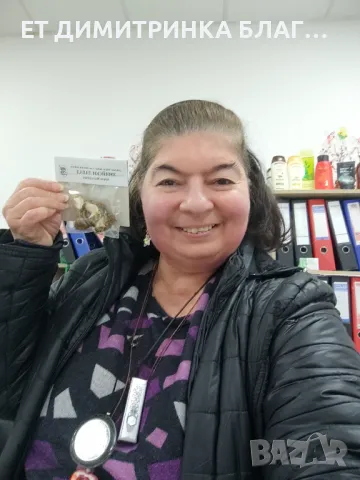 Змийски лапад при Хемороиди, Кашлица, малария, тумори, пясък и камъни в бъбреци, киселини в стомаха, снимка 3 - Други - 49876378