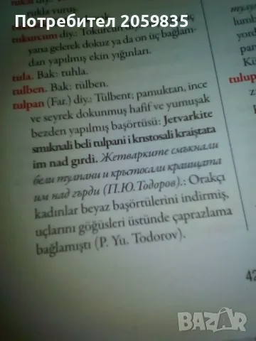 Турска книга : Речник на турцизмите в българския език, снимка 6 - Енциклопедии, справочници - 50437162