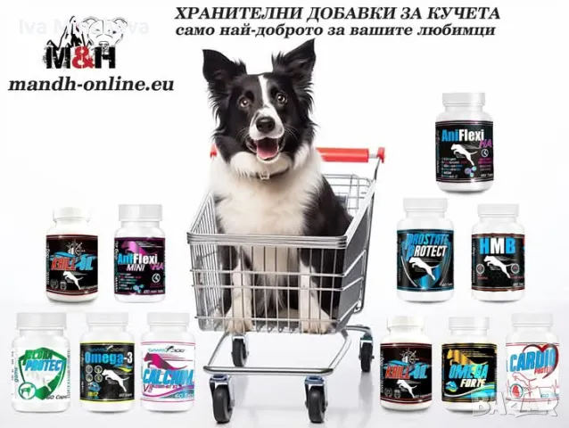 Хранителни добавки за кучета