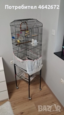ОБЕЩАН!!! Корела с оборудвана клетка със стойка, снимка 6 - Папагали - 52809444