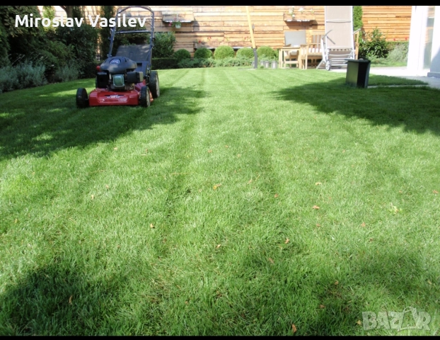Поддръжка на зелени площи | Почистване на листа | Почистване на сняг