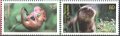Чисти марки Фауна Видра Лешников Сънливец 2020 от Германия, снимка 1 - Филателия - 32493250