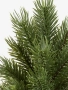 Изкуствена елха в саксия-48 см./елха/изкуствена елха, снимка 2