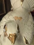 Огромен гълъб порцелан, снимка 11