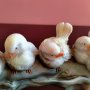 Фигурка керамична ръчно рисувана на птици на клон FARO A. Lucchesi Италия, снимка 15