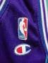 CHARLOTTE HORNETS ALONZO MOURNING CHAMPION NBA ОРИГИНАЛЕН ПОТНИК РАЗМЕР L JERSEY , снимка 5