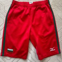 Мъжки спортни къси панталони, размер L, снимка 1 - Спортни дрехи, екипи - 44080314