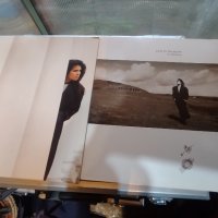 Tanita Tikaram – Vinyl, LP, Album, снимка 1 - Грамофонни плочи - 43055849