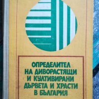 Определител на диворастящи и култивирани дървета и храсти в България, снимка 1 - Специализирана литература - 43047472