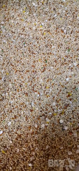 Смес\храна за вълнист папагал, снимка 1