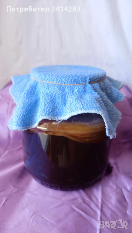 Тибетска чаена гъба Комбуча + стартер течност за напитка в стъклен буркан 1750 мл., снимка 1