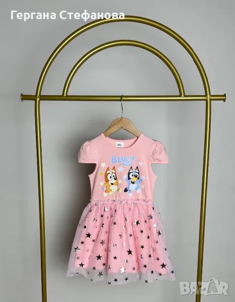 Рокля блуи и бинго Размери-3/4г.4/5г.5/6г.7г.8г. Цена-32лв, снимка 1