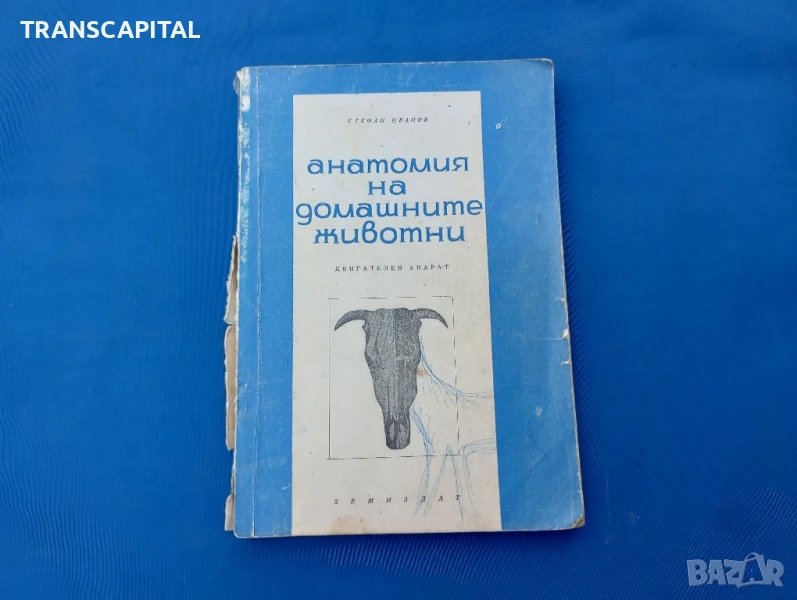 Анатомия на домашните животни , снимка 1
